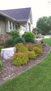 landscape remodel
