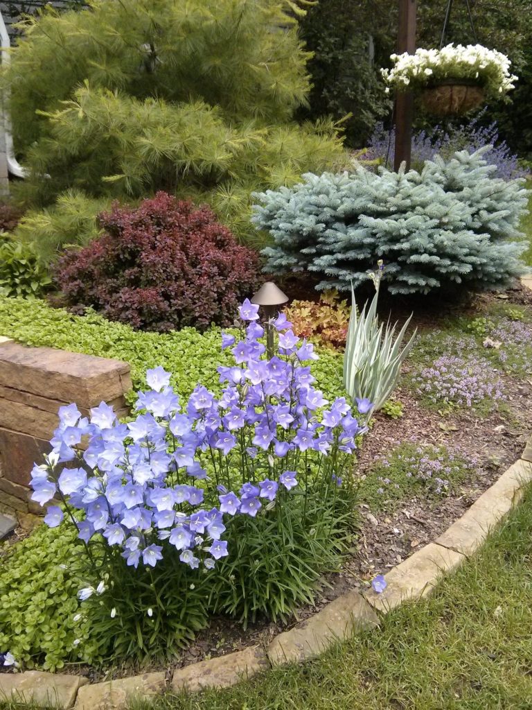 landscape design