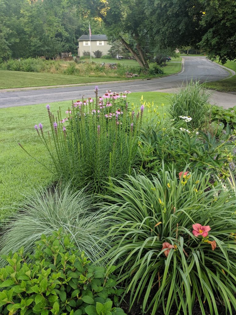 landscape design