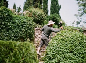 landscape consulting