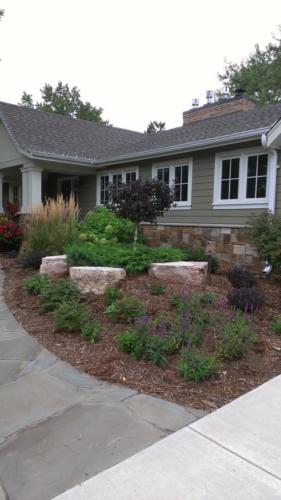 landscape redesign