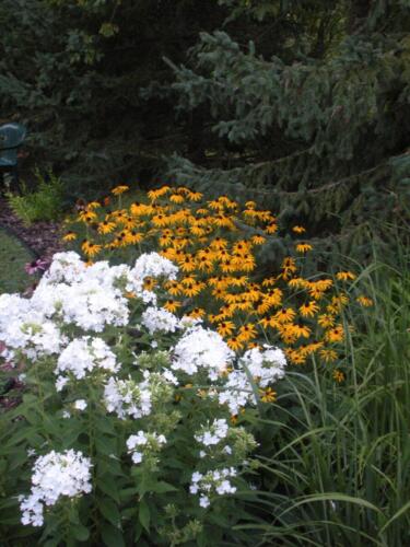 landscape design