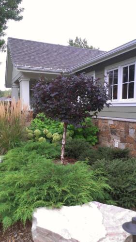 landscape design