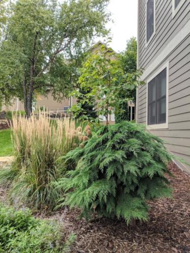 landscape design