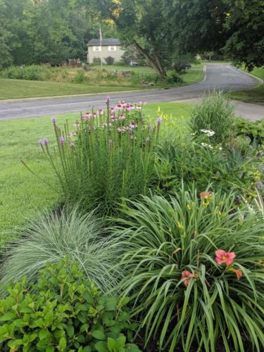 landscape design